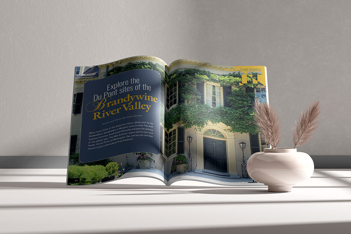 FindiT_BrandyRivVal_Mockup